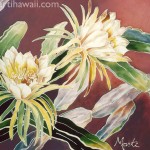 Night Blooming Cereus by Marti Wiese Rounds