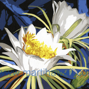 Nite Blooming Cereus