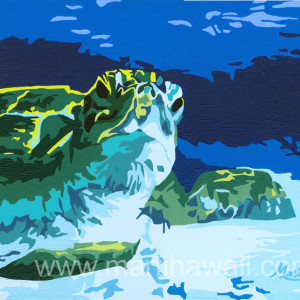 Underwater Turtle